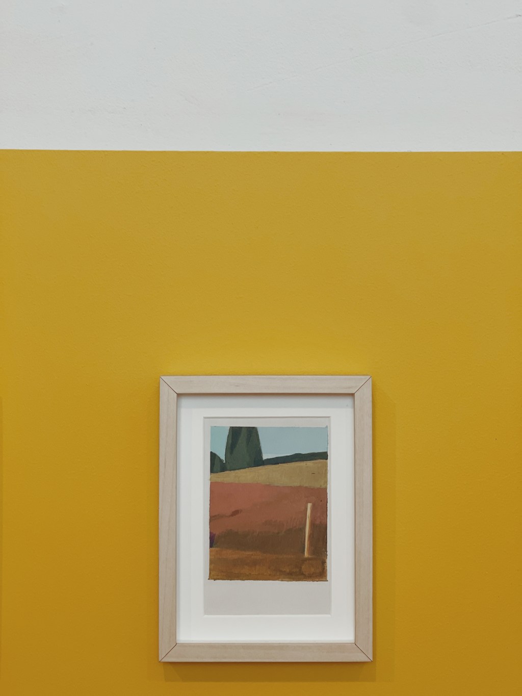 MNG Oddział Sztuki Nowoczesnej / SAINER&nbsp;KOLOR