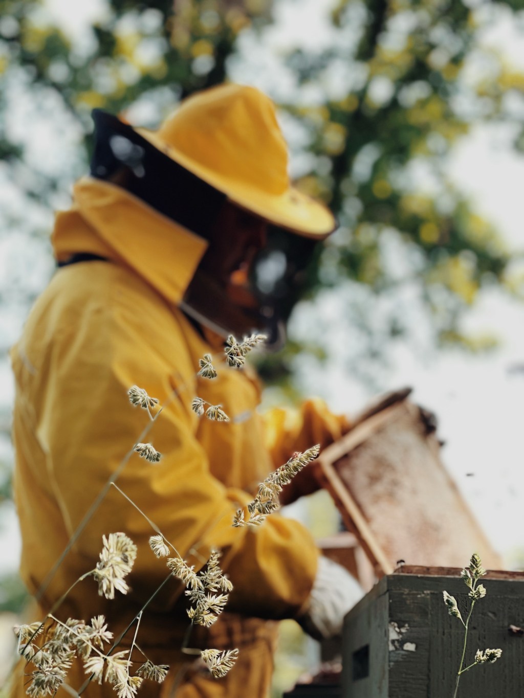 INTERSTELLAR / K.W.&nbsp;BRZYSZCZ